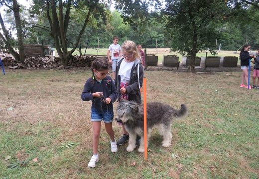 171 pedadog enfant chien stage aout 2018