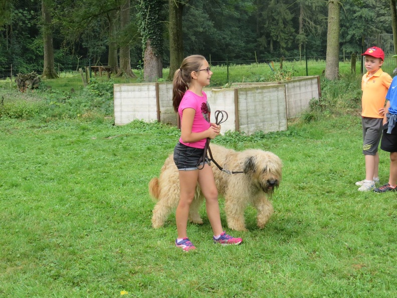 085_pedadog_enfant_chien_stage_juillet_2018.jpg