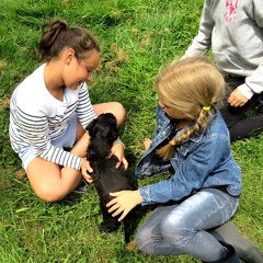 98 enfant chien pedadog 2019-07-08