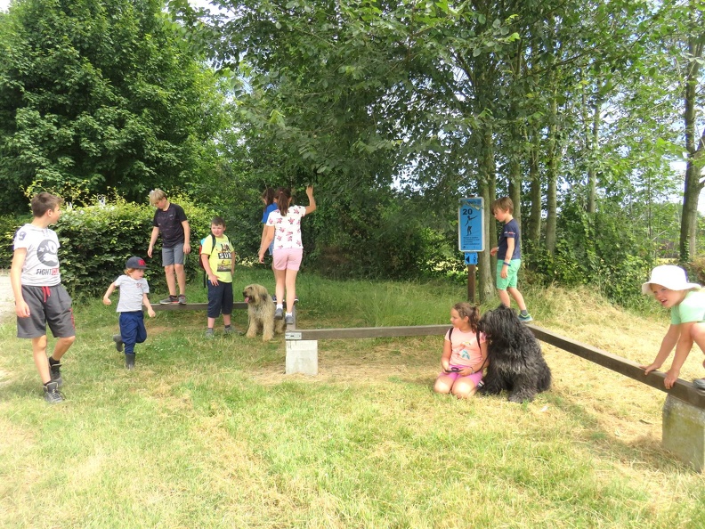 169 enfant chien pedadog 2019-07-10