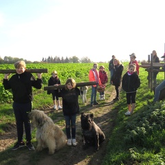 84 enfant chien pedadog 2019-10-31