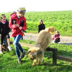 85 enfant chien pedadog 2019-10-31